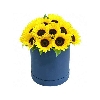 Arreglo en caja 24 girasoles