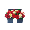 Arreglo Baúl 20 rosas