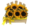 Sillita de Girasoles